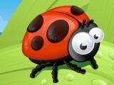 Play Ladybug slide
