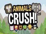 Play Animal crush match