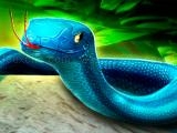 Play Snake puzzle 3d