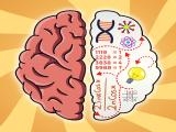 Play Brain hack