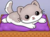 Play Pets slide