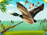 Play Duck hunting simulator
