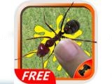 Play Light it up 2d  cateau prinss