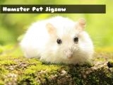 Play Hamster pet jigsaw