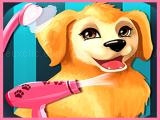 Play Puppy now