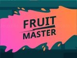 Play Fruit master hd now