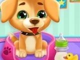 Play Animals day care now