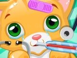 Play Little cat game