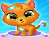 Play Little cat doctor care