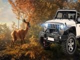 Play Animal hunters : safari jeep driving game now