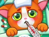 Play Pet doctor now