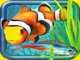 Play Fish farm - aquarium simulator now