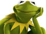 Play Coloring book for  kermit the frog