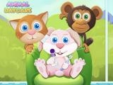 Play Baby animal daycare now