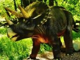 Play Triceratops dinosaur puzzle