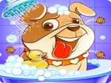 Play Puppy salon - daycare & rescue jobs