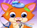 Play Little sweet cat doctor