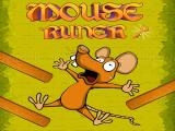 Play Mouse runer now