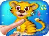 Play Animal touch 2 now