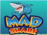 Play Mad shark 2021 now