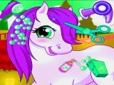Play Horse pet salon now