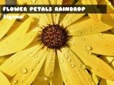 Play Flower petals raindrop jigsaw now