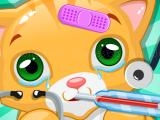 Play Little cat doctor pet vet game now
