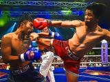 Play Muaythai fighters jigsaw now