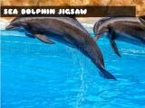 Play Sea dolphin jigsaw now