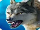 Play Wolf simulator 3d now