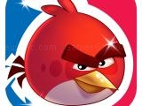 Play Angry bird friends now