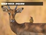 Play Wild deer jigsaw now
