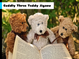 Play Cuddly three teddy jigsaw now