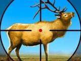 Play Wild deer hunting 3d now