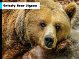 Play Grizzly bear jigsaw now