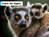 Play Lemur zoo jigsaw now