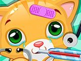 Play Doctor pets now