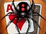 Play Classic spider solitaire now