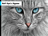 Play Cat eye's jigsaw