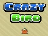 Play Crazy flappy
