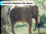 Play Cambodia elephant kid jigsaw now