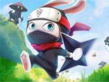 Play Ninja rabbit