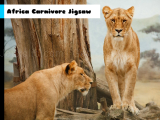 Play Africa carnivore jigsaw