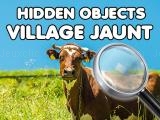 Play Hidden objects village jaunt