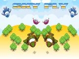 Play Sky fly
