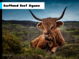 Play Scotland beef jigsaw