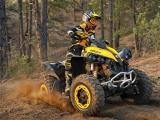 Play Atv offroad puzzle