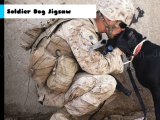 Play Soldier dog jigsaw now