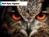 Play Owl eyes jigsaw
