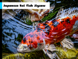 Play Japanese koi fish jigsaw now
